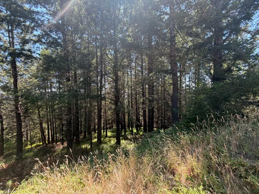 178 Parkview Road, Shelter Cove, CA 95589 - #2