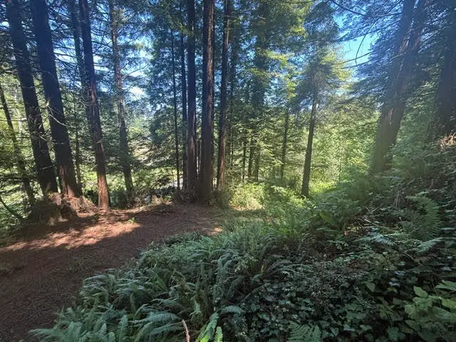 000 Spears Road, Eureka, CA 95503 - #2