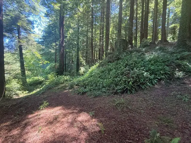 000 Spears Road, Eureka, CA 95503 - #3
