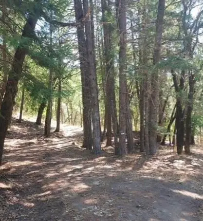 1701 Van Duzen Road, Mad River, CA 95526