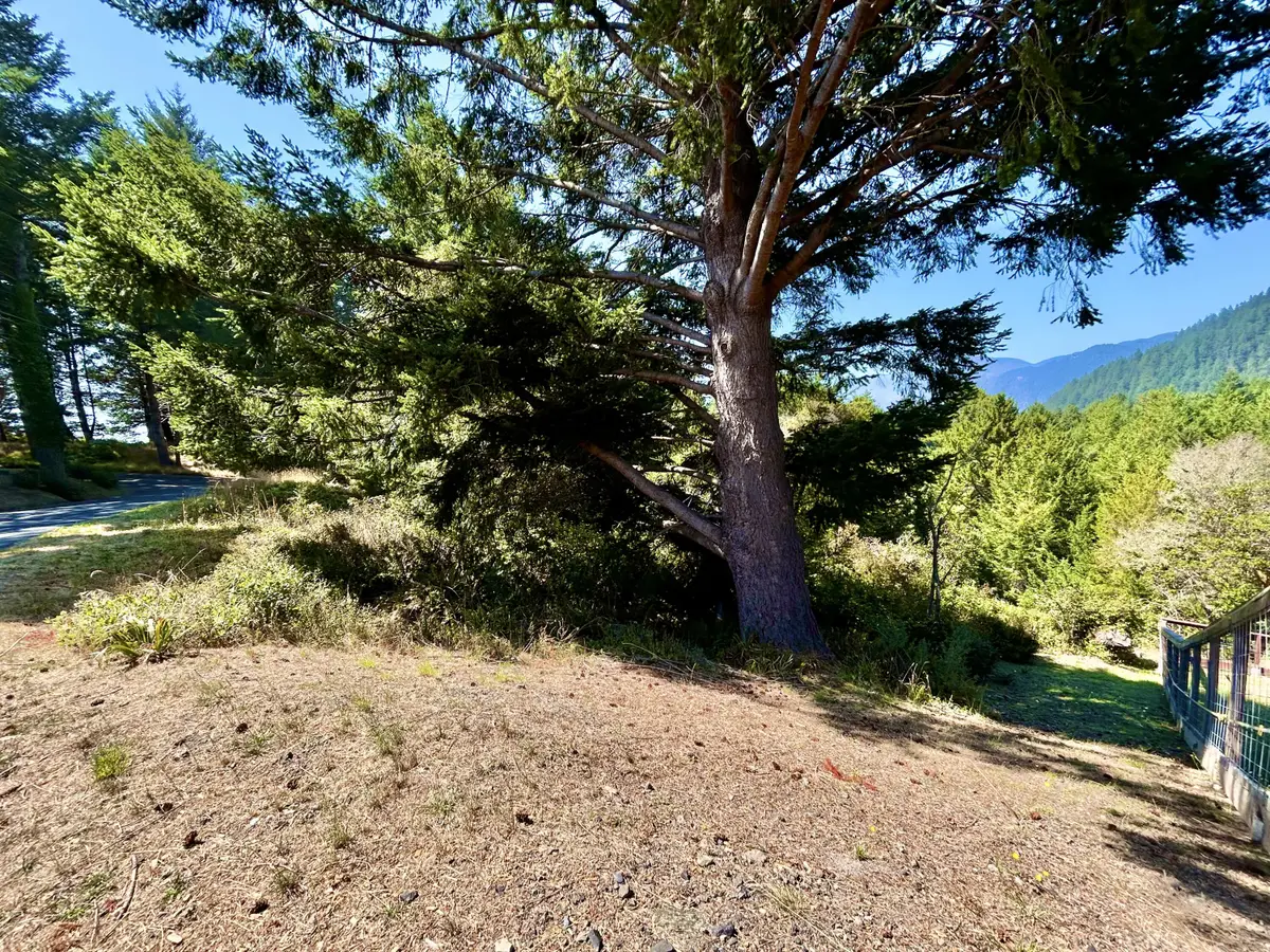 427 Humboldt Loop Road, Shelter Cove, CA 95589 - #1