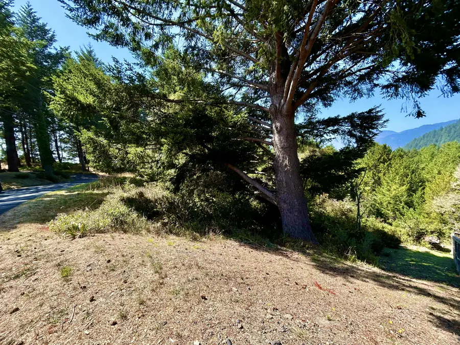 427 Humboldt Loop Road, Shelter Cove, CA 95589 - #2