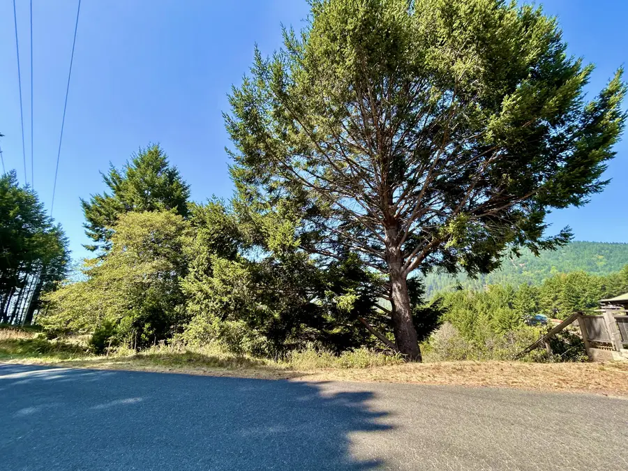 427 Humboldt Loop Road, Shelter Cove, CA 95589 - #3