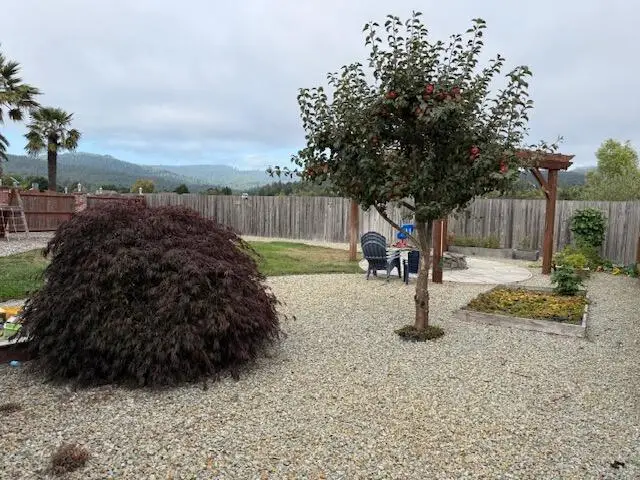 723 Springville Avenue, Fortuna, CA 95540 - #3