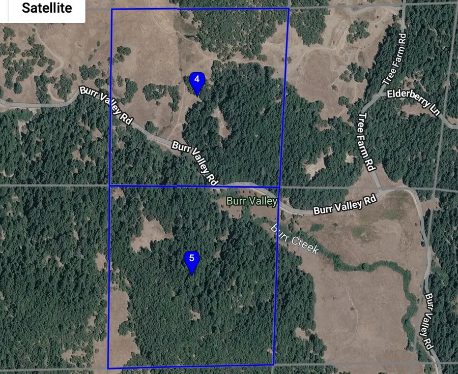 41.9 +/- Acres Burr Valley Road, Bridgeville, CA 95526 - #2