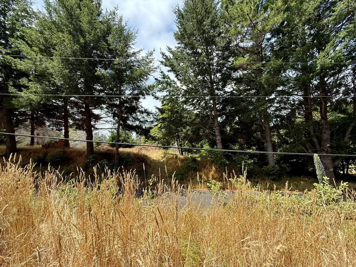 117 Ridge Road, Whitethorn, CA 95589 - #1