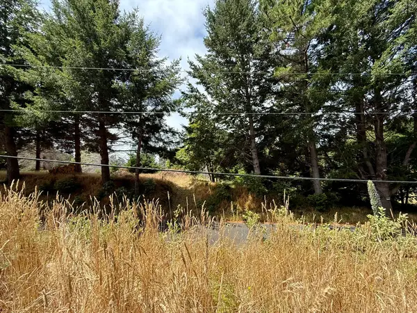 117 Ridge Road, Whitethorn, CA 95589