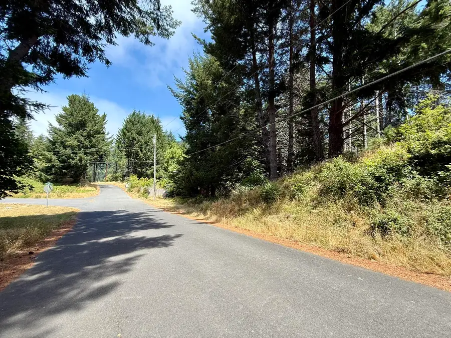 117 Ridge Road, Whitethorn, CA 95589 - #2