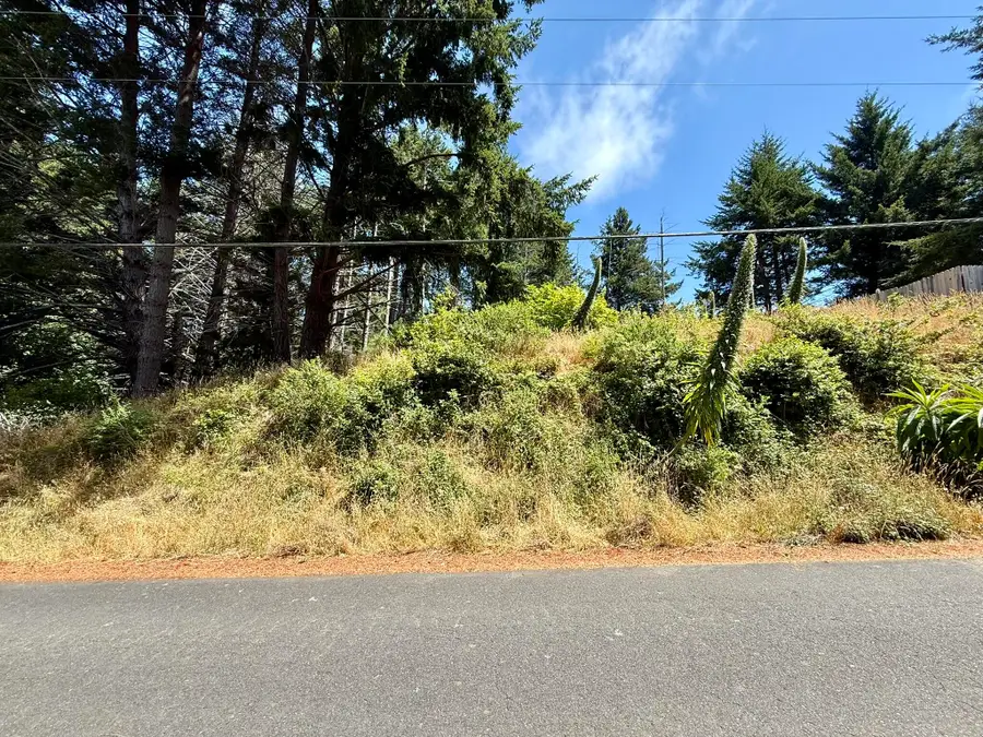 117 Ridge Road, Whitethorn, CA 95589 - #3