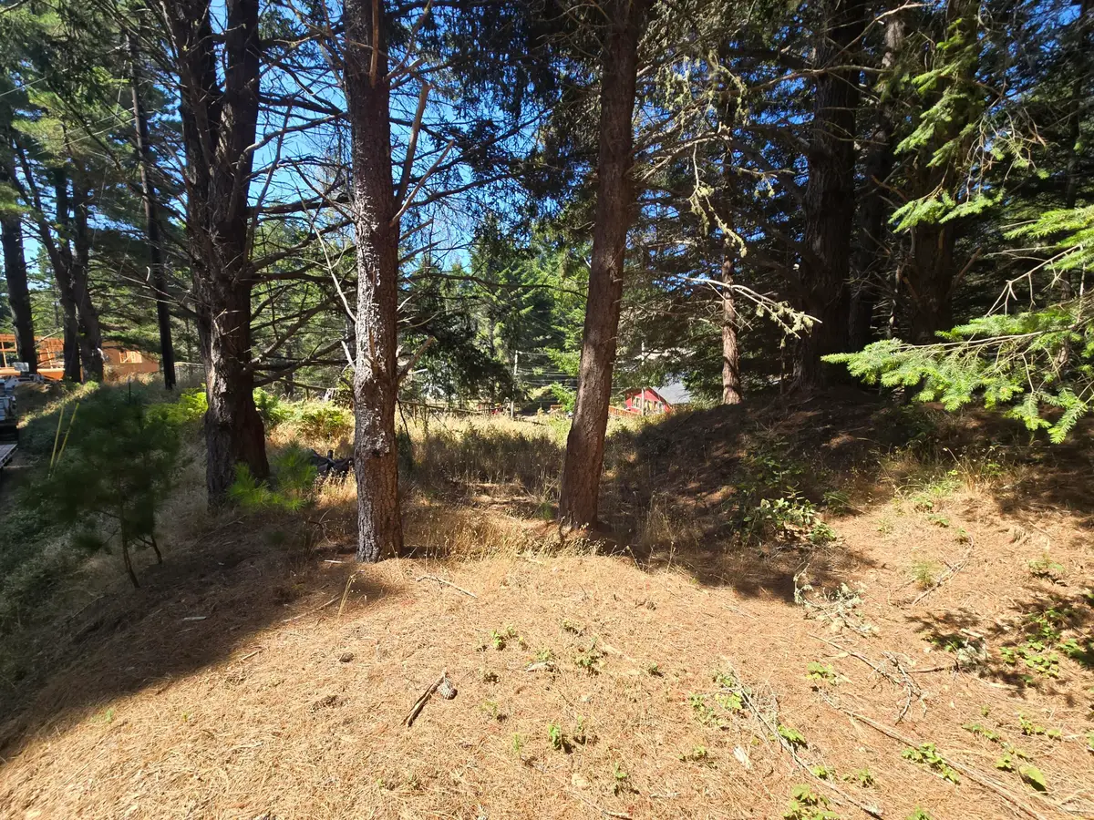 24 Cove View Drive, Shelter Cove, CA 95589 - #1