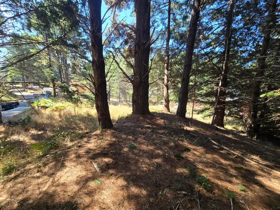 24 Cove View Drive, Shelter Cove, CA 95589 - #2