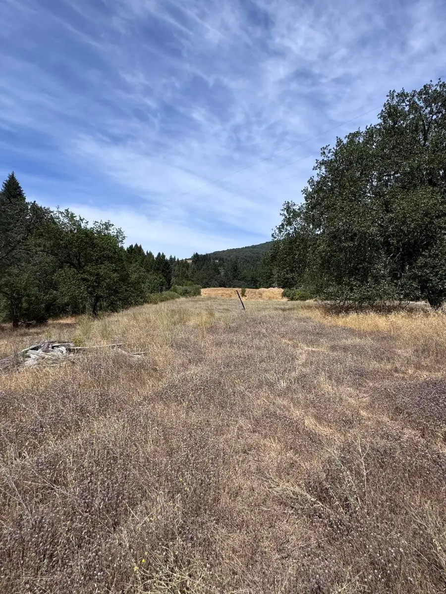 331 Lamb Creek Road, Mad River, CA 95552 - #3