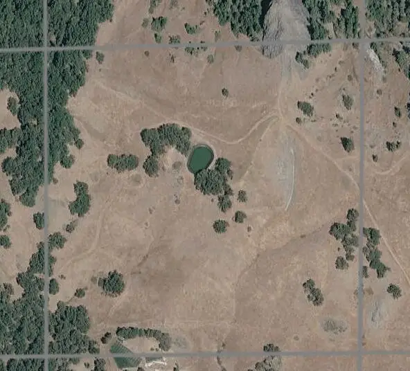 42 +/- Acres Burr Valley Road, Bridgeville, CA 95526