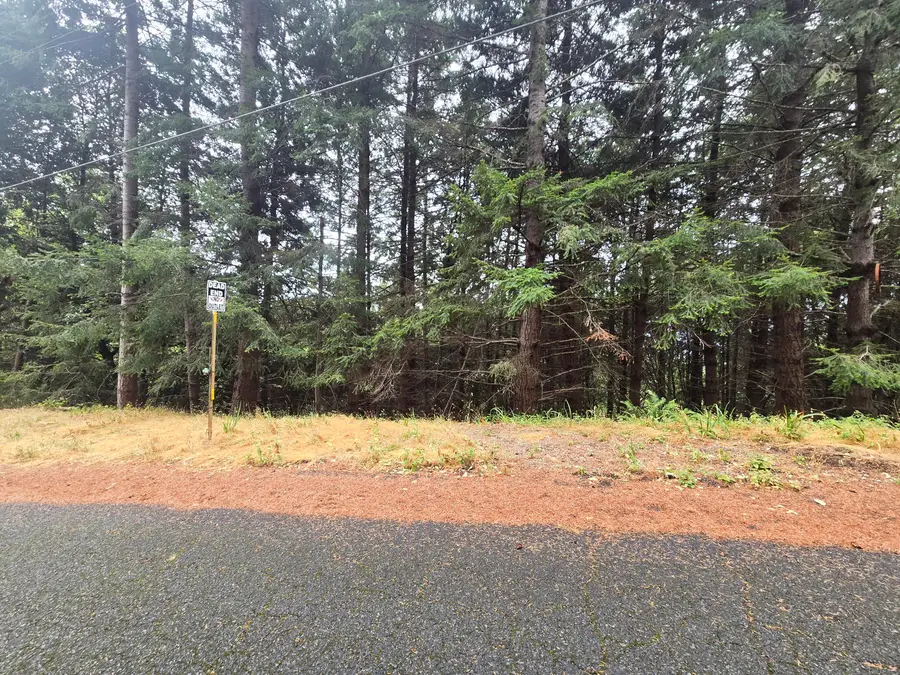 149 Otter Lane, Shelter Cove, CA 95589 - #2