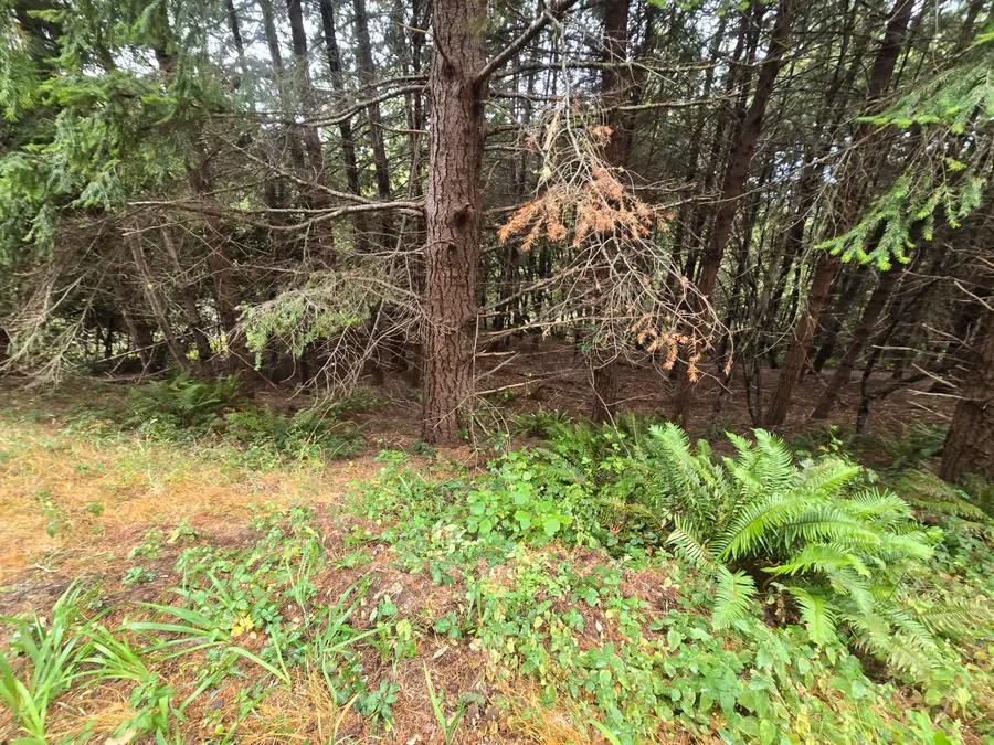 149 Otter Lane, Shelter Cove, CA 95589 - #3