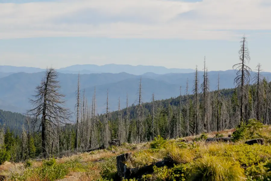 36 Mile-route 1 Road, Kneeland, CA 95549 - #2