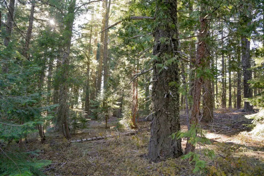 36 Mile-route 1 Road, Kneeland, CA 95549 - #3