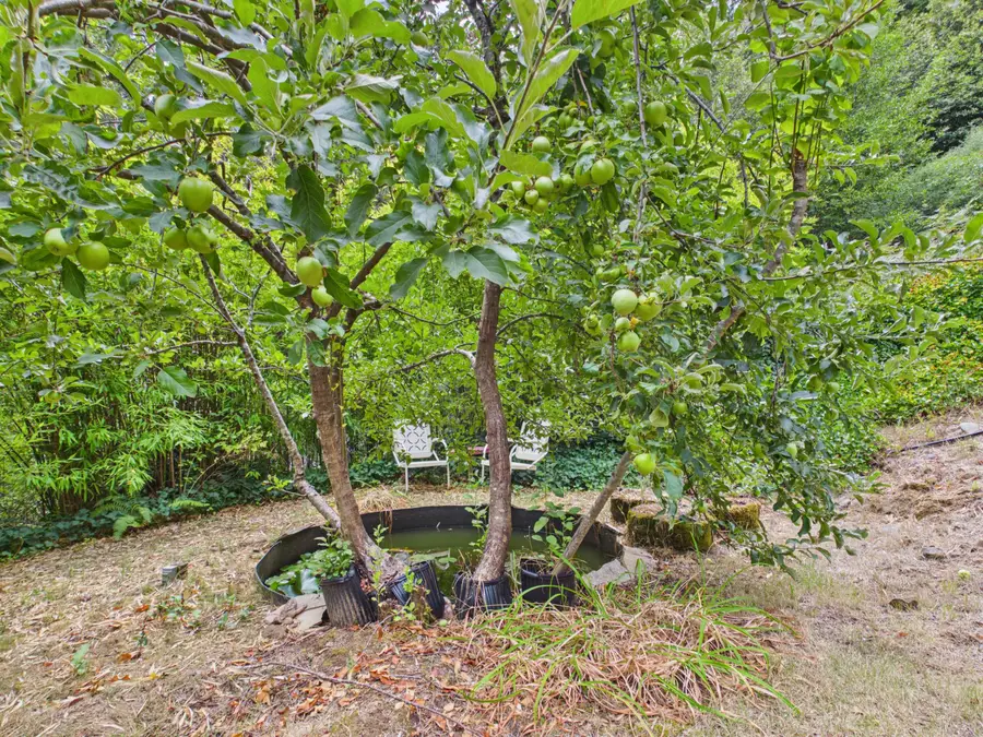 1326 China Creek Road, Whitethorn, CA 95589 - #3