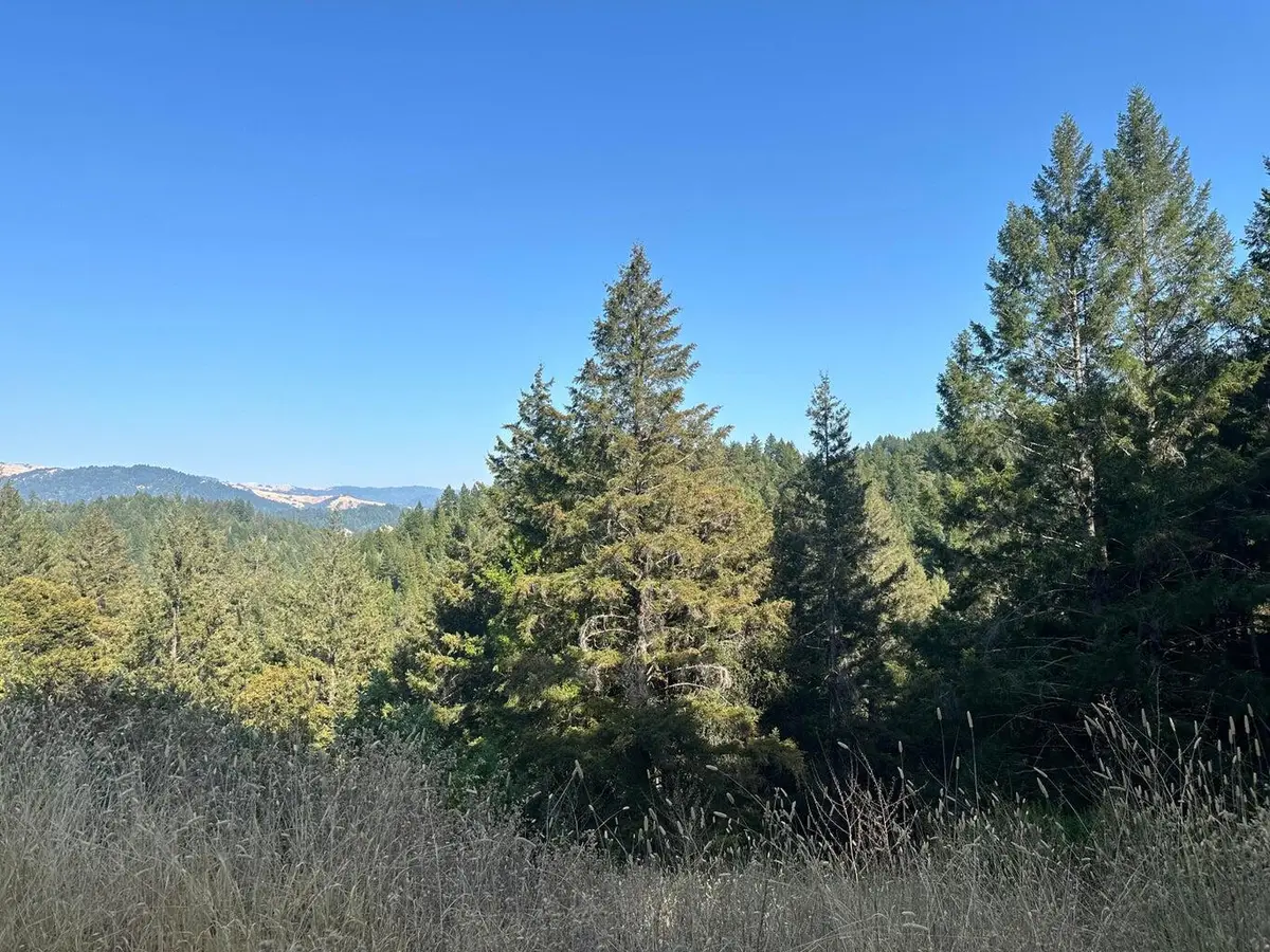 4031 Old Briceland Road, Garberville, CA 95542 - #1
