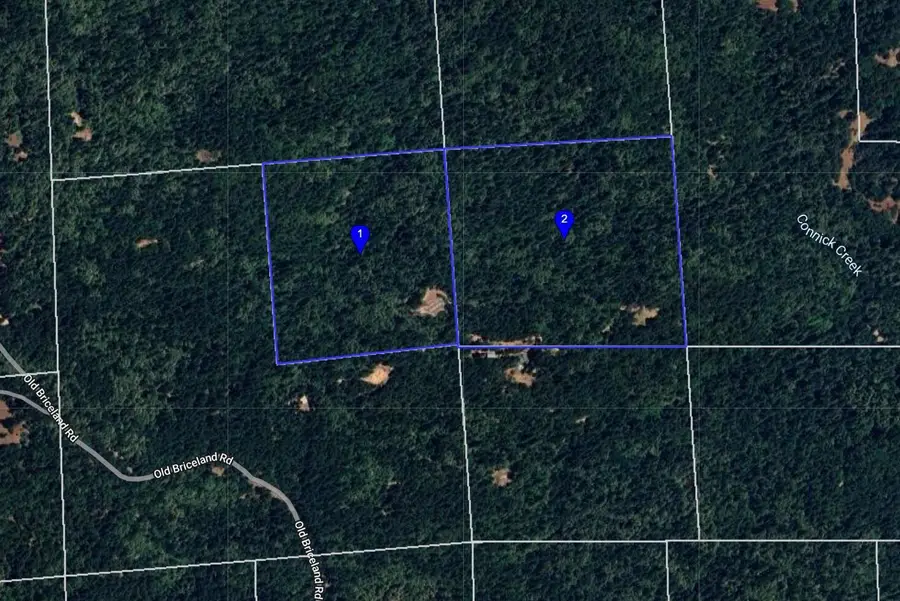 4031 Old Briceland Road, Garberville, CA 95542 - #2