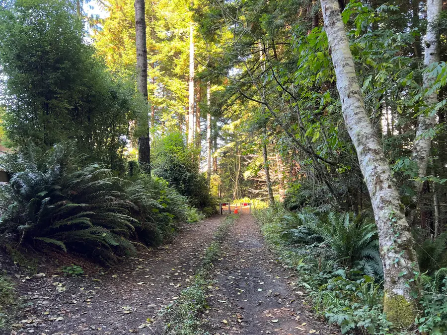 7305 Berta Road, Eureka, CA 95503 - #2