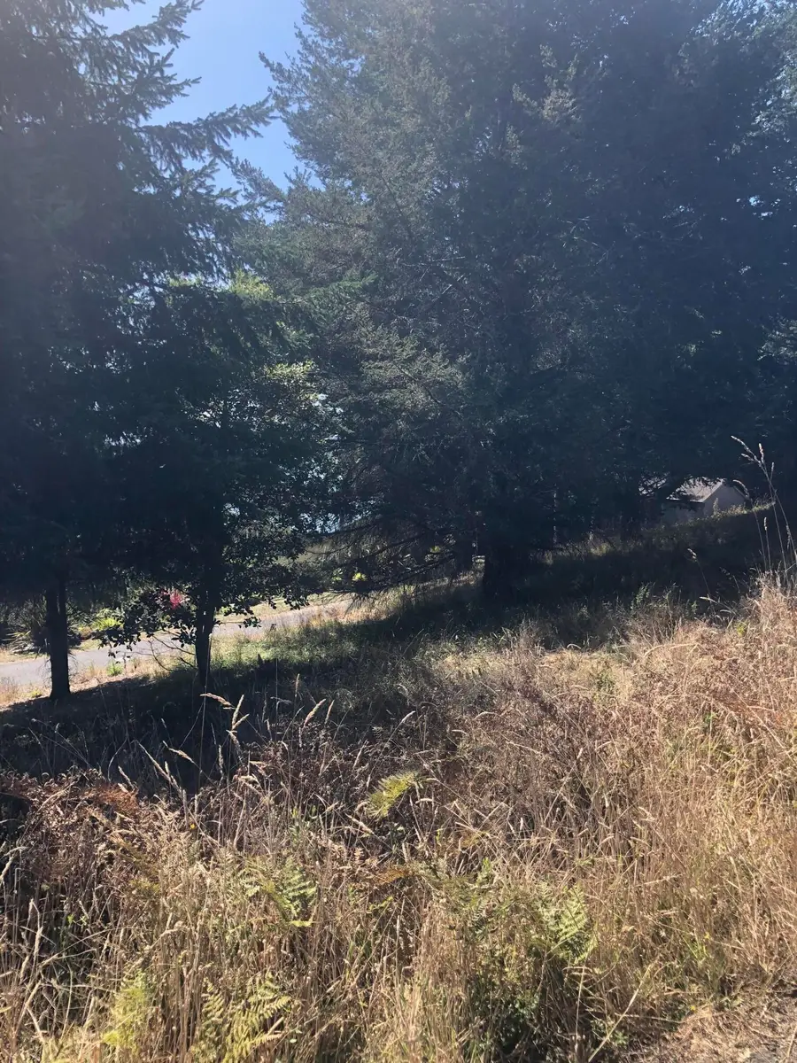 42 Vista Road, Shelter Cove, CA 95589 - #3