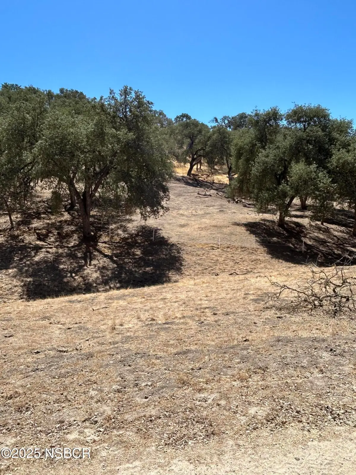 77517 Lowes Canyon Road, San Miguel, CA 93451 - #1