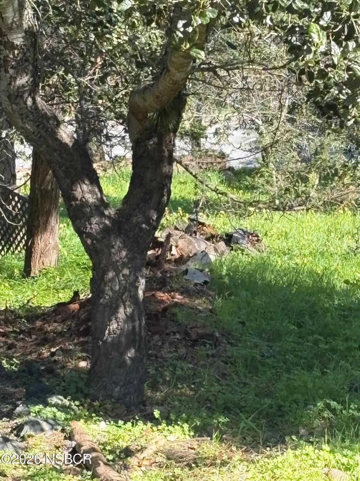 Spencer Street, Cambria, CA 93428 - #1