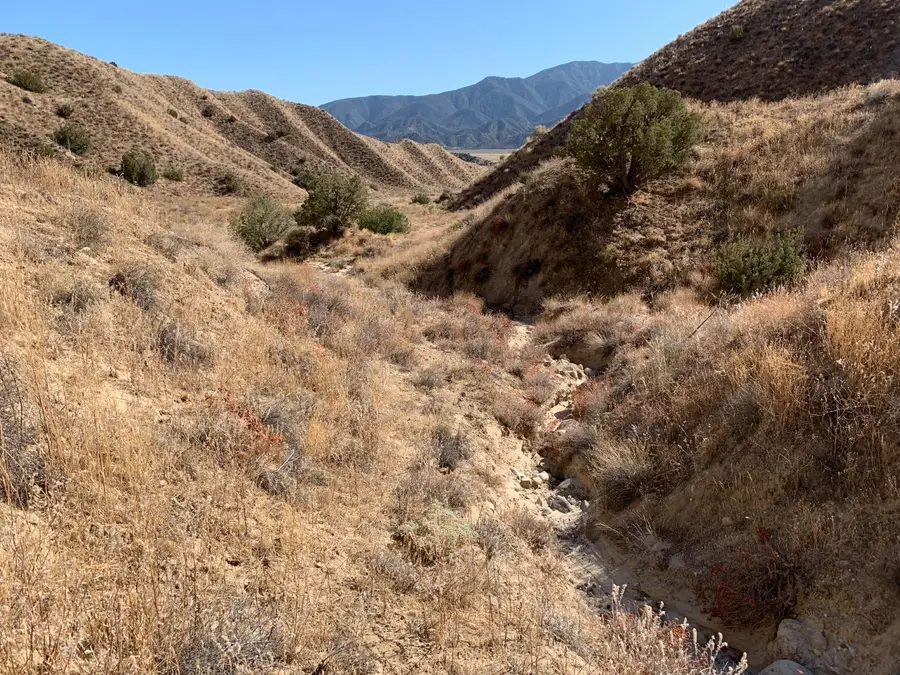 520 Quatal Canyon Road, Maricopa, CA 93254 - Image #2