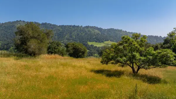 0 Thomas Street, Oak View, CA 93022