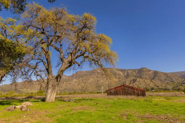 1201 Grand Avenue, Ojai, CA 93023