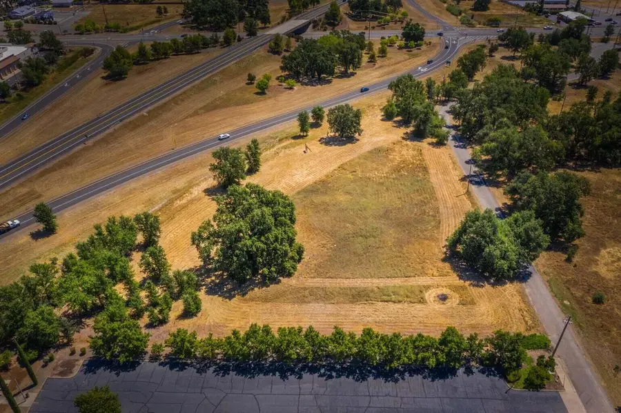 Plaza Drive, Palo Cedro, CA 96073 - #2