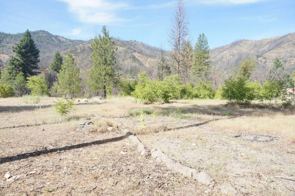 101 River Acres, Junction City, CA 96048 - #1
