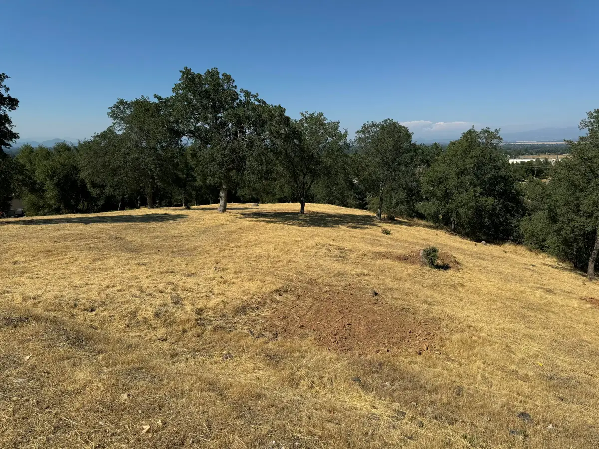 20295 Domaine Place, Anderson, CA 96007 - #1