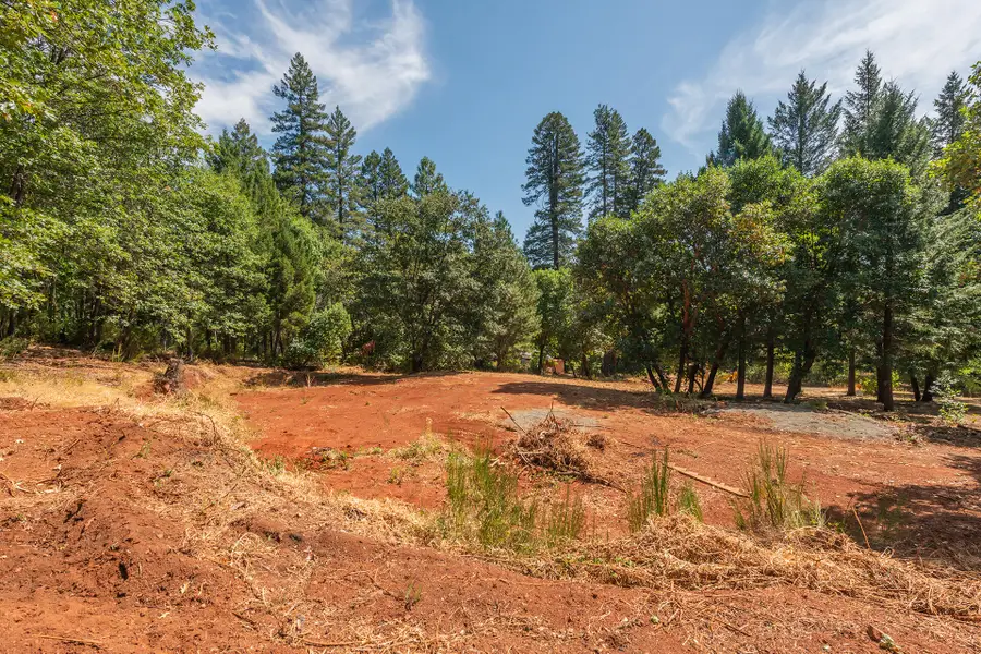 171 Connor Creek Road, Junction City, CA 96048 - #3