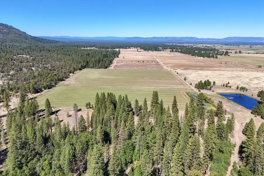 Brown Road, Fall River Mills, CA 96028 - Image #2