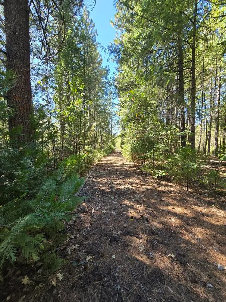 Lot 158 Bridger Way, Oak Run, CA 96069 - Image #1