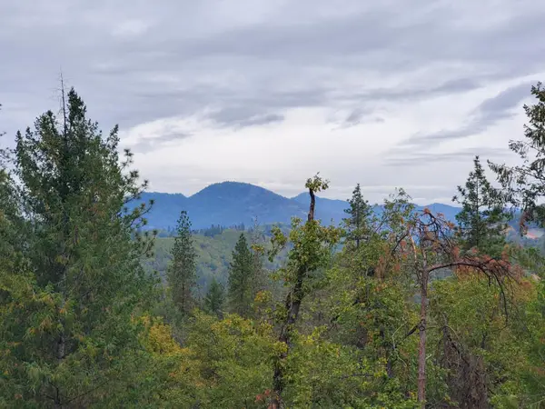 Racoon Dr, Lakehead, CA 96051