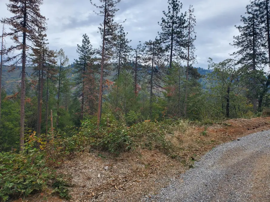 Racoon Dr, Lakehead, CA 96051 - Image #3