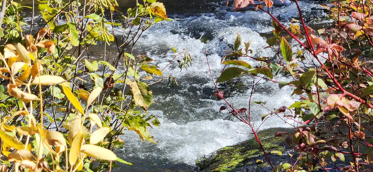 19845 Cinder Pit Road, Hat Creek, CA 96040 - Image #1