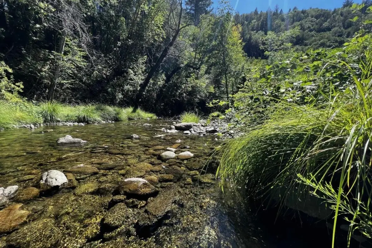 26410 State Highway 3, Douglas City, CA 96024 - Image #1