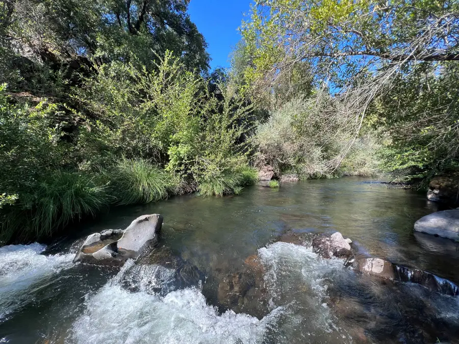 21675 Wildcat Road, Paynes Creek, CA 96075 - Image #2