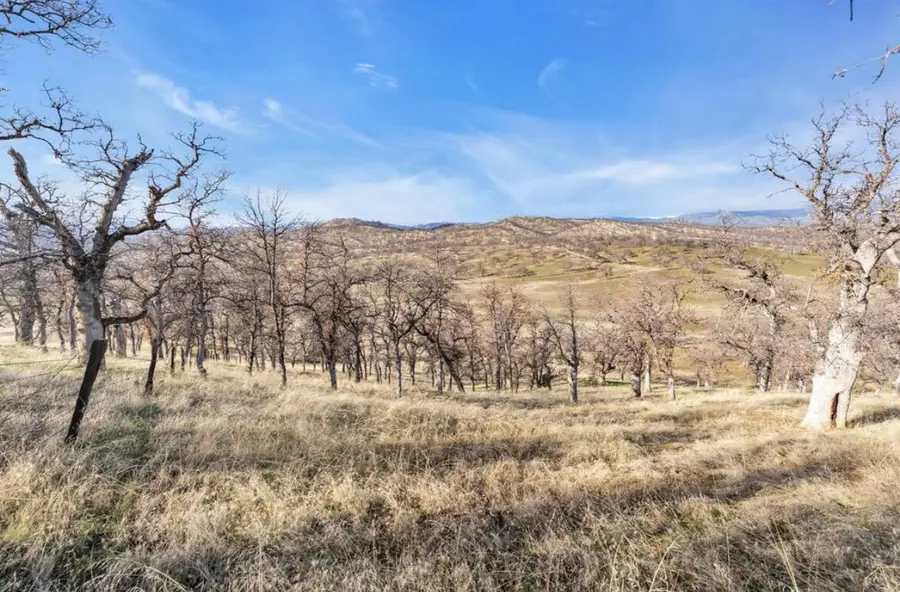 Fiddlers Road, Igo, CA 96047 - Image #3