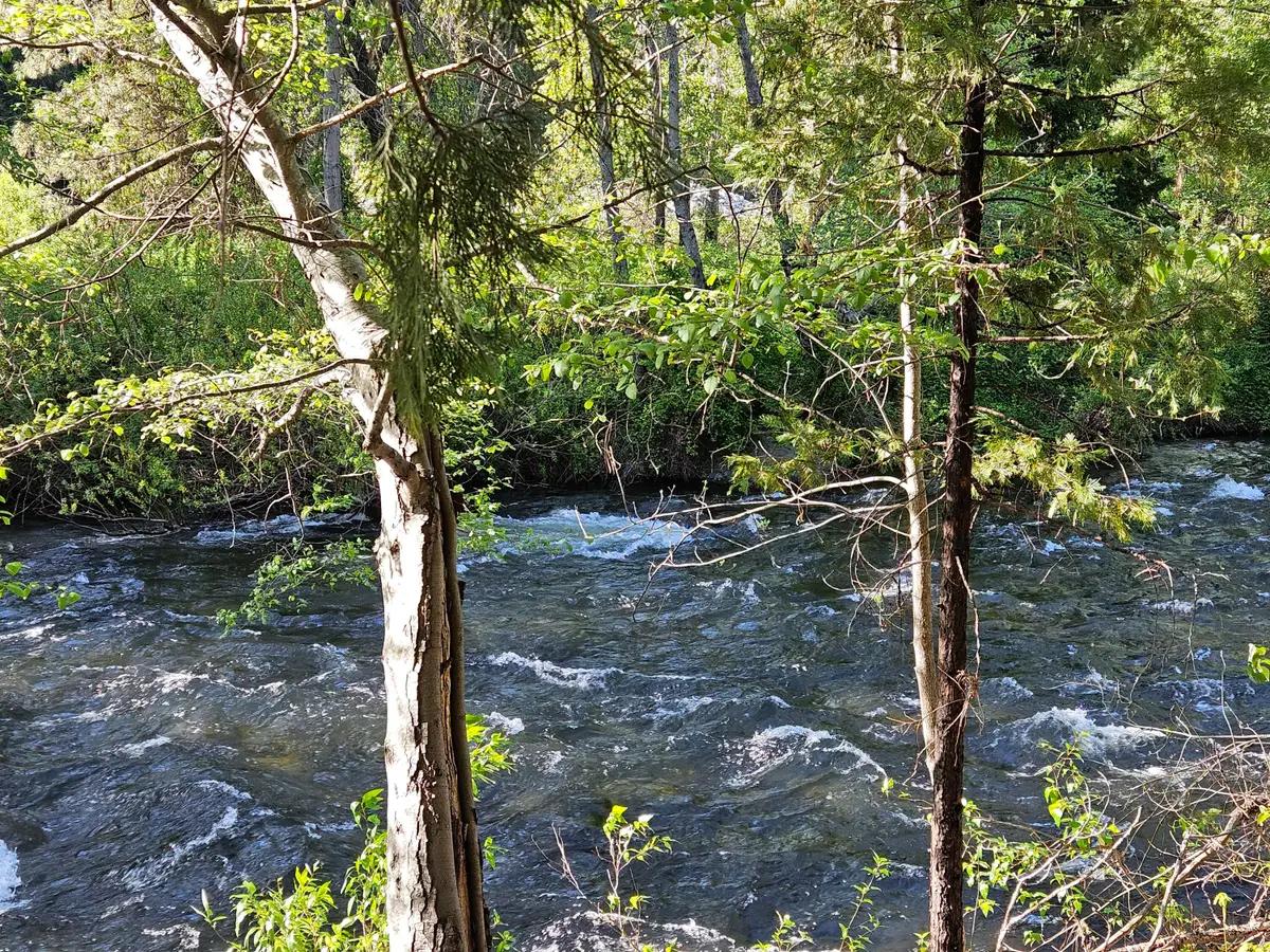 S First Street, Dunsmuir, CA 96025 - Image #1