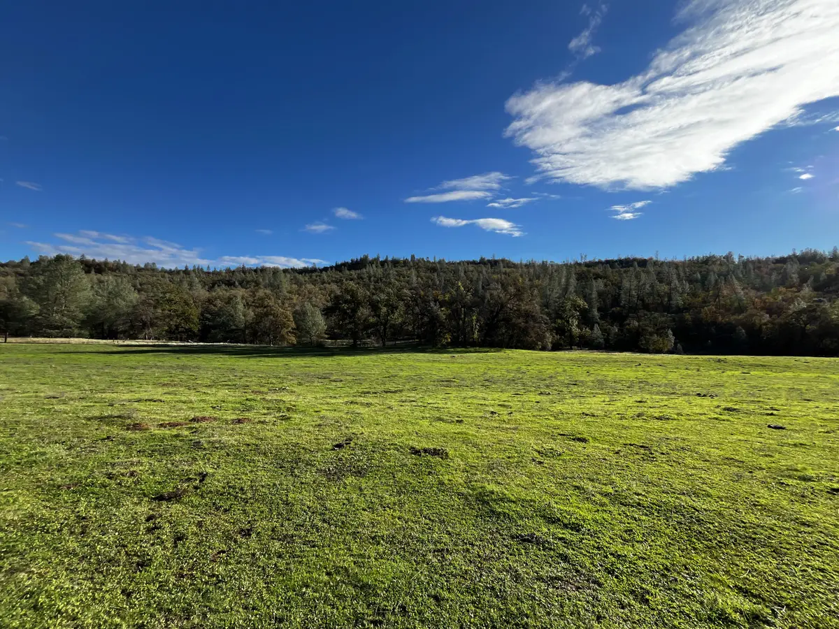 0000 Whitmore Road, Whitmore, CA 96096 - Image #1