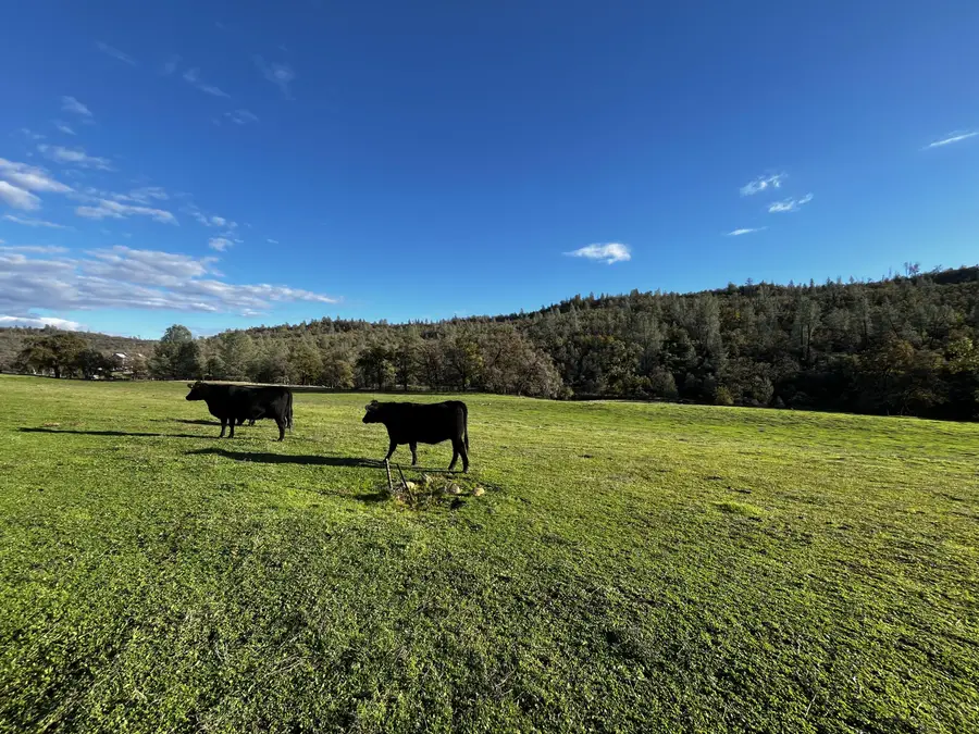 0000 Whitmore Road, Whitmore, CA 96096 - Image #2