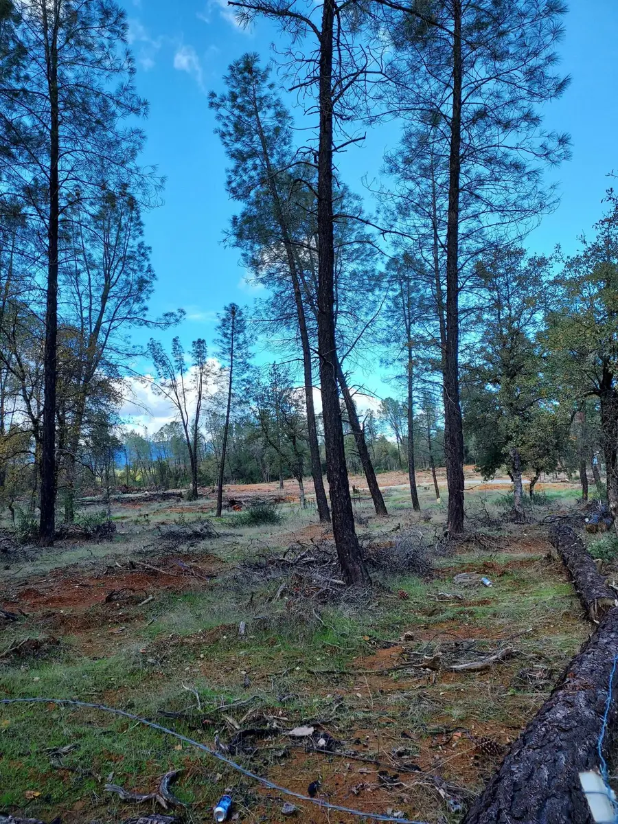 3082, 3060 Keswick Dam Boulevard, Redding, CA 96003 - Image #2