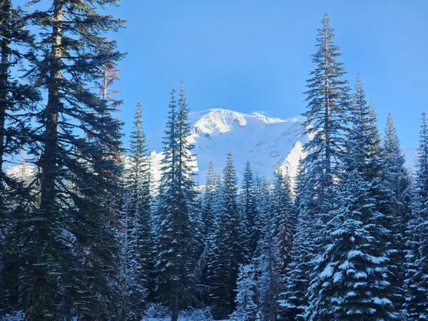 Everitt Memorial Highway, Mount Shasta, CA 96067