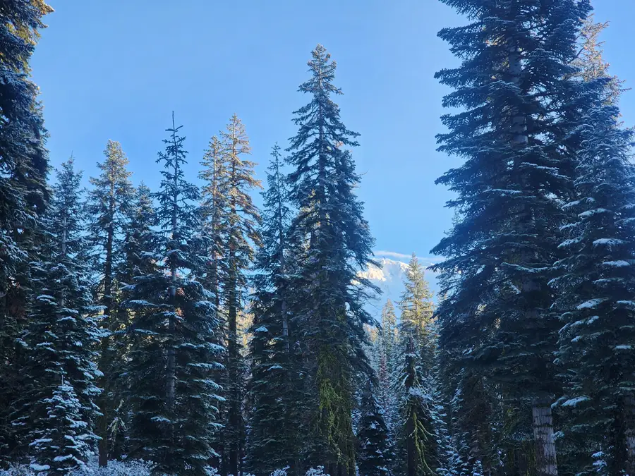 Everitt Memorial Highway, Mount Shasta, CA 96067 - Image #3