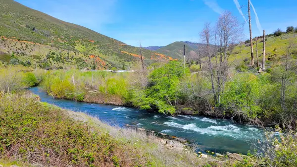 000 Trinity Mountain Road, French Gulch, CA 96033